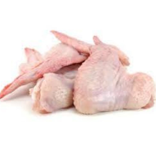 Turkey Wing (10lb/30lb)
